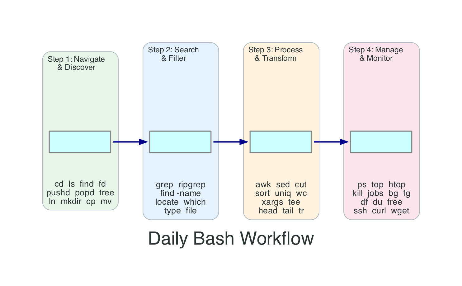 Daily Bash Workflow