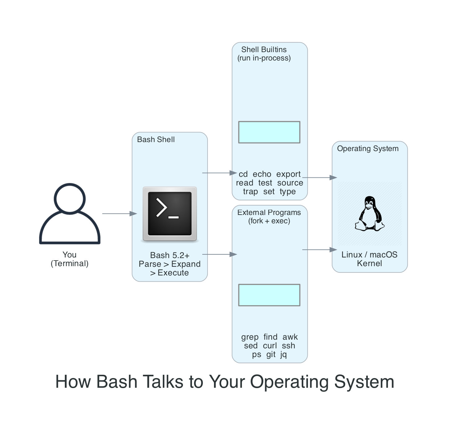 How Bash Talks to Your Operating System